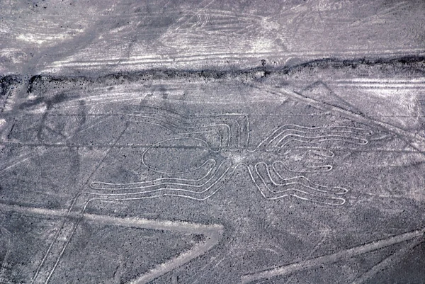 Kolibřík Nazca Lines Jsou Série Velkých Starověkých Geoglyfů Poušti Nazca — Stock fotografie