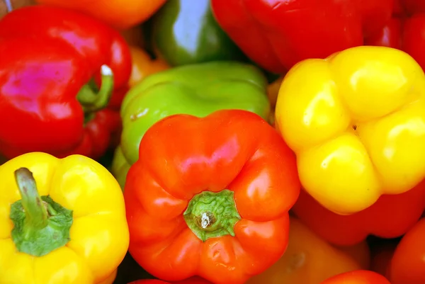 Jeu Paprika Couleur Fraîche — Photo