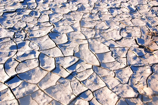 Cracked Earth Park — Stock Photo, Image