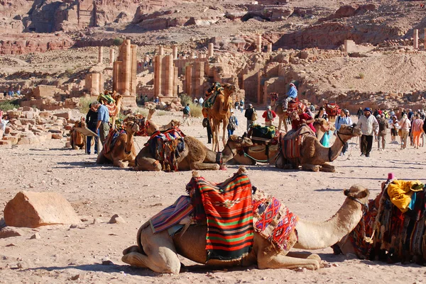 Mensen Met Kamelen Egyptische Woestijn — Stockfoto