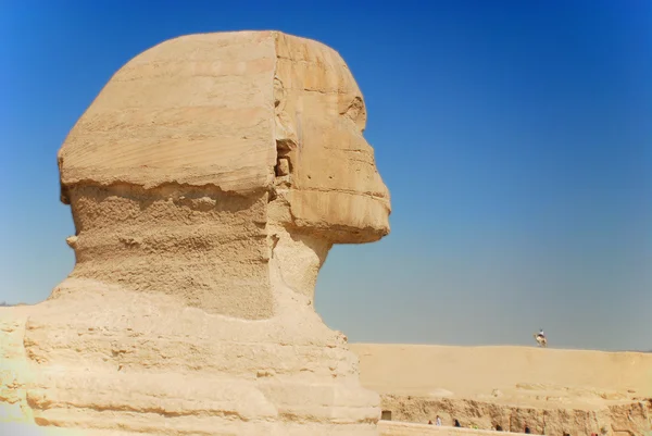 Die Große Sphinx Der Giza — Stockfoto