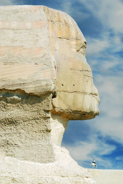 Die Große Sphinx Der Giza — Stockfoto