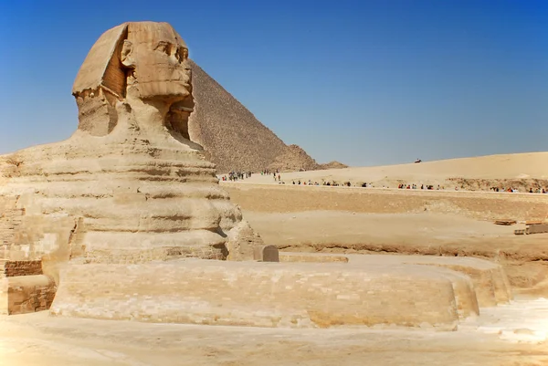 Sphinx Dans Vallée Gizeh Égypte — Photo