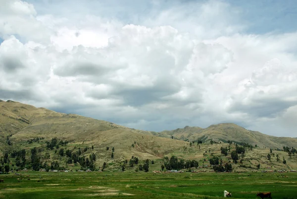Άνδεις Τοπίο Στο Altiplano Στο Νότιο Περού — Φωτογραφία Αρχείου