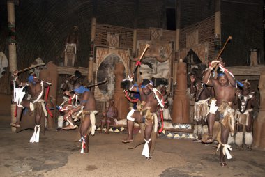 Sakaland-27 Kasım: Tanımlanamayan Zulu dansçıları, 27 Kasım 2010 'da Shakaland Zulu Kültür Köyü, Kwazulu-Natal, Güney Afrika' da düzenlenen bir Zulu gösterisinde geleneksel Zulu kıyafetleri giyerler.