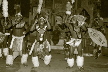 Sakaland-27 Kasım: Tanımlanamayan Zulu dansçıları, 27 Kasım 2010 'da Shakaland Zulu Kültür Köyü, Kwazulu-Natal, Güney Afrika' da düzenlenen bir Zulu gösterisinde geleneksel Zulu kıyafetleri giyerler.