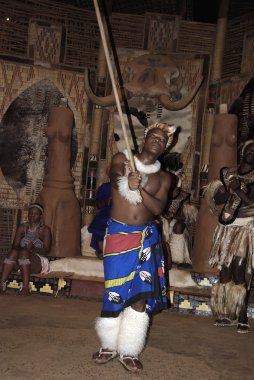 Tanımlanamayan Zulu dansçısı, 27 Kasım 2010 'da Shakaland Zulu Kültür Köyü, KwaZulu-Natal, Güney Afrika' da yapılan bir Zulu gösterisinde geleneksel Zulu kıyafetleri giyer.