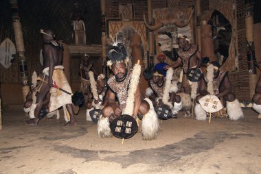 Sakaland-27 Kasım: Tanımlanamayan Zulu dansçıları, 27 Kasım 2010 'da Shakaland Zulu Kültür Köyü, Kwazulu-Natal, Güney Afrika' da düzenlenen bir Zulu gösterisinde geleneksel Zulu kıyafetleri giyerler.