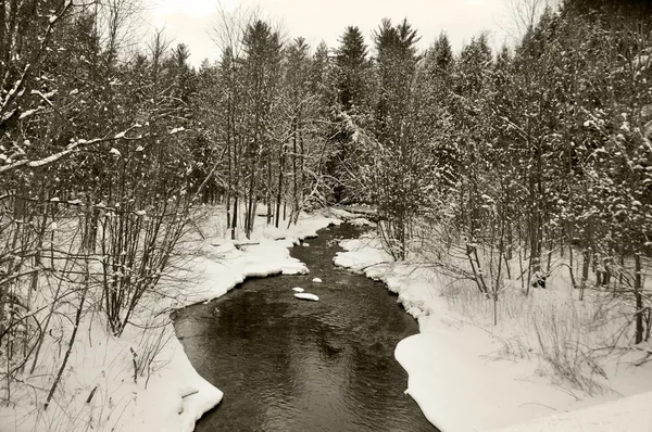 Schneelandschaft Winterwald — Stockfoto