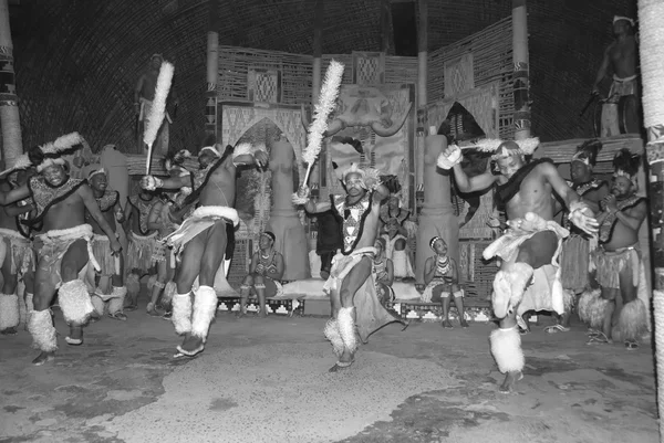 Sakaland Noviembre Los Bailarines Zulu Identificados Llevan Ropa Tradicional Zulu — Foto de Stock