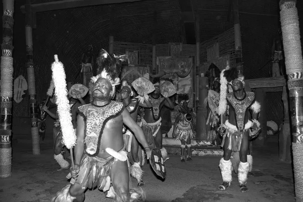 Sakaland Noviembre Los Bailarines Zulu Identificados Llevan Ropa Tradicional Zulu — Foto de Stock