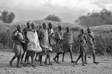 Masai kabilesinden kimliği belirsiz Afrikalı bir grup, 13 Ekim 2011 'de Kenya' nın Masai Mara kentinde düzenlenen geleneksel atlama dansını göstermeye hazırlanıyor. Onlar göçebe ve küçük köylerde yaşıyorlar..
