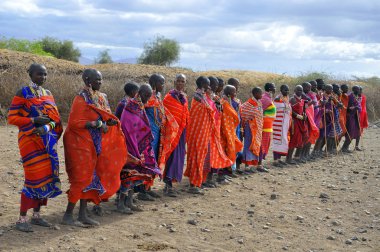 Masai kabilesinden kimliği belirsiz bir grup, 13 Ekim 2011 'de Kenya' nın Amboseli kentinde düzenlenen geleneksel atlama dansını göstermeye hazırlanıyor. Onlar göçebe ve küçük köylerde yaşıyorlar.