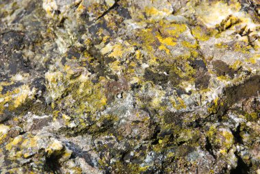 Taş dokusu arka planda. Taş dokusu arkaplanını kapatın. Renkli doğal taş arka plan. Kum taşı dokusunun detayları /