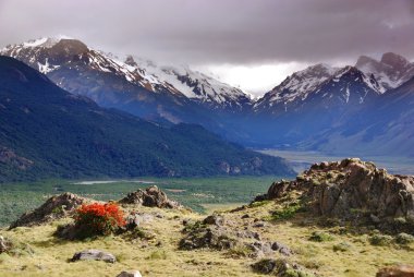Tierra del Fuego Ulusal Parkı, Arjantin 'in Tierra del Fuego adasının Patagonic Ormanı ve Altos And Dağları' nda yer alan bir milli parktır.