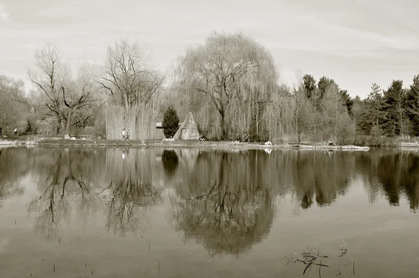 Lago Paisagem Com Reflexão Árvores — Fotografia de Stock