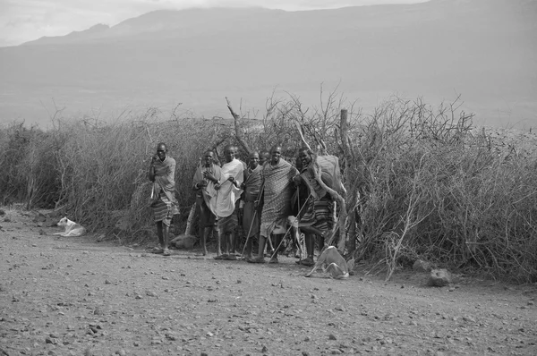 Amboseli Kenya Oct Group Unidentified African Men Masai Tribe Prepare — Stock Photo, Image