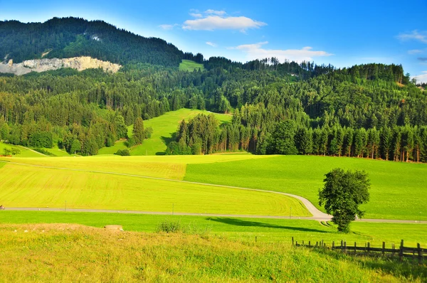 Graz Áustria Vista Fazenda Vale Campo — Fotografia de Stock