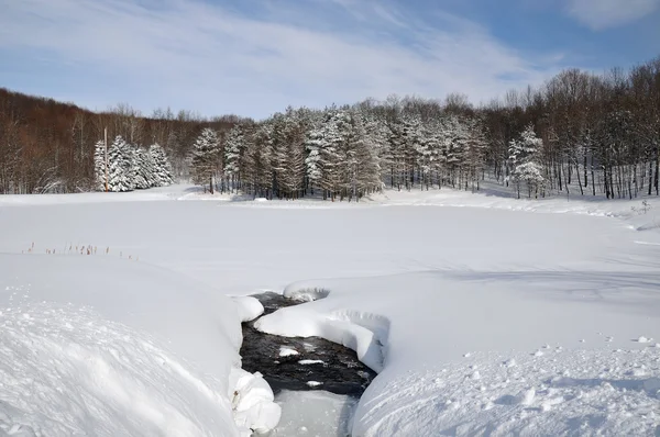 Zimowy Krajobraz Słoneczny Dzień — Zdjęcie stockowe