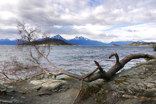 Lago Argentino Είναι Μια Λίμνη Στην Παταγονική Επαρχία Της Santa — Φωτογραφία Αρχείου