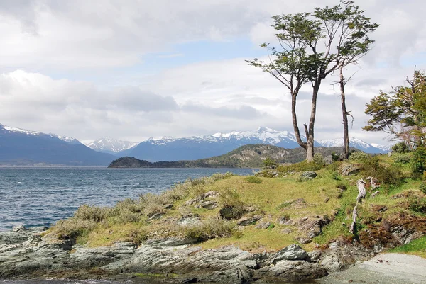 火地岛国家公园 Tierra Del Fuego National Park 是阿根廷的一个国家公园 位于巴塔哥尼亚森林 Patagonic Forest — 图库照片