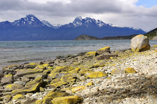 Parque Nacional Tierra Del Fuego Parque Nacional Parte Argentina Ilha — Fotografia de Stock