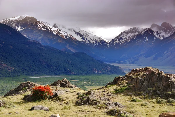 티에라델푸에고 Tierra Del Fuego National Park 아르헨티나 티에라델푸에고 공원으로 파타고니아 — 스톡 사진