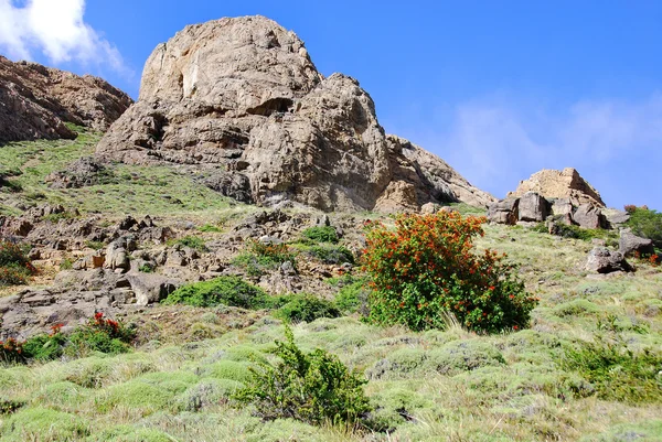 Cappadocia Una Regione Meraviglie Naturali Eccezionali Nella Provincia Nevsehir Turchia — Foto Stock