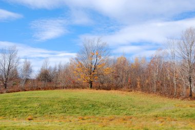 Nisan 'ın sonunda bahar manzarası.