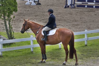BROMONT-CANADA JULY 29: Unknown rider on a horse during 2011, INTERNATIONAL BROMONT on July 29, 2011 At the Equestrian 1976 Montreal Olympic Park.