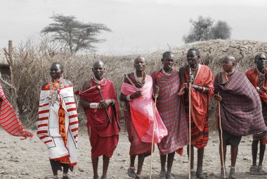 AMBOSELI, KENYA - 13 Ekim 2011 'de Masai Mara, Kenya' da Masai kabilesinden kimliği belirsiz Afrikalı insanlar. Onlar göçebe ve küçük köylerde yaşıyorlar..