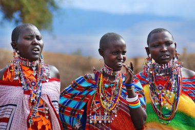 AMBOSELI, KENYA - 13 Ekim 2011 'de Masai Mara, Kenya' da Masai kabilesinden kimliği belirsiz Afrikalı insanlar. Onlar göçebe ve küçük köylerde yaşıyorlar..