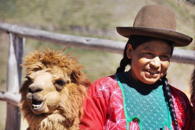 Andes dağlarında bir kadınla Alpaca