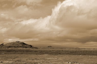 Güzel savana manzarası