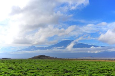 Yeşil çayır ve dağlardan oluşan güzel bir manzara.