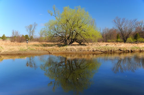 Voorjaarslandschap Montreal Quebec Canada — Stockfoto