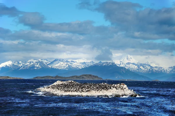 Beagle Channel Patagonia Argentina Rozvíjí Mezi Několika Ostrovy Severu Leží — Stock fotografie