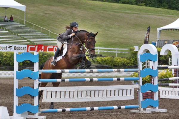 Bromont Canada July Unknown Rider Horse 2011 International Bromont July — ストック写真