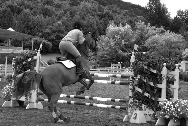 Bromont Canada July Unknown Rider Horse 2011 International Bromont July — стокове фото