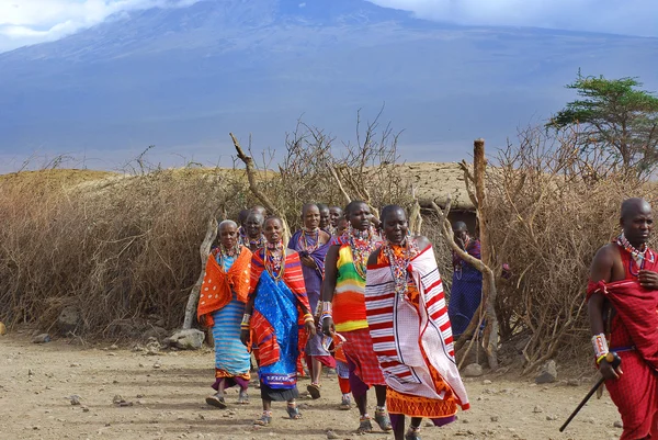 Amboseli Kenya Oct Gente Africano Identificado Tribu Masai Octubre 2011 — Foto de Stock