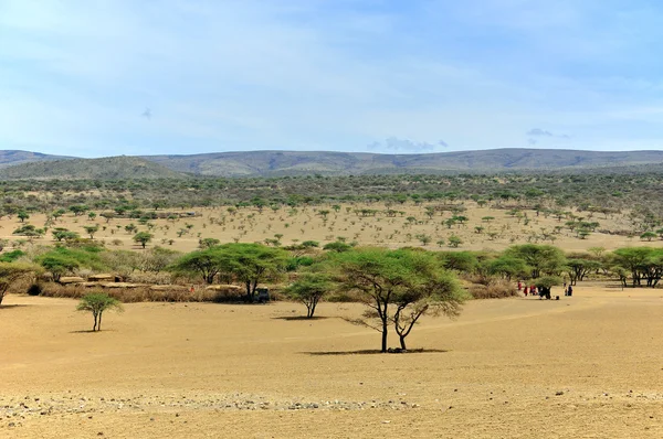 坦桑尼亚典型的热带草原景观 — 图库照片