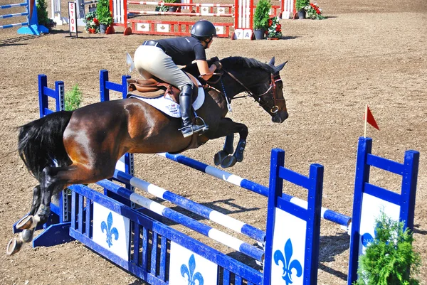 Bromont Canada July Unknown Rider Horse 2011 International Bromont July — ストック写真