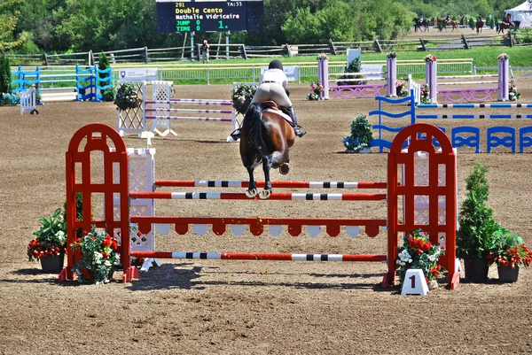 Bromont Canada July Unknown Rider Horse 2011 International Bromont July — ストック写真