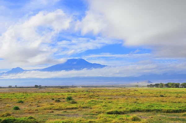 Tien Shan 산기슭의 — 스톡 사진