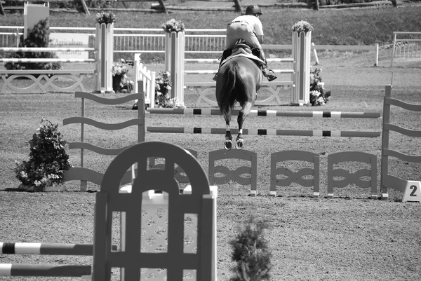 Bromont Canada July Unknown Rider Horse 2011 International Bromont July — Stockfoto