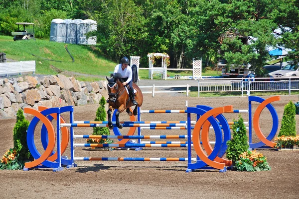 Bromont Canada July Unknown Rider Horse 2011 International Bromont July — ストック写真