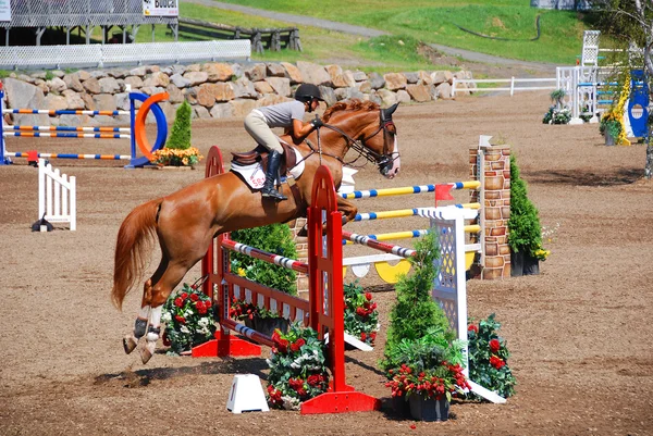 Bromont Canada July Unknown Rider Horse 2011 International Bromont July — 图库照片