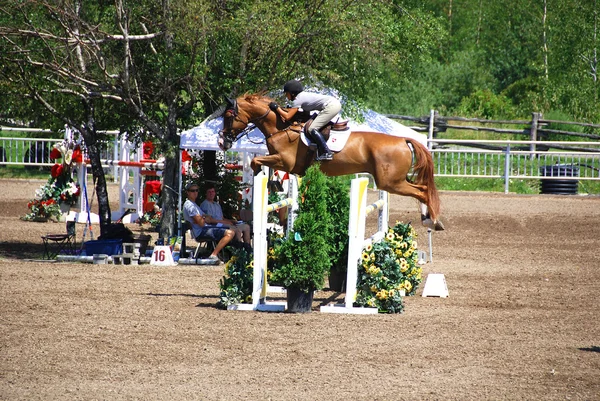 Bromont Canada July Unknown Rider Horse 2011 International Bromont July — Fotografia de Stock