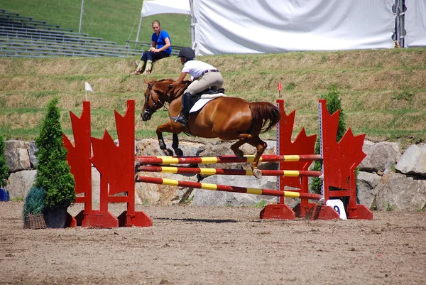 ブロモント カナダ7月29日 2011年の間に馬に乗って未確認のライダー 7月29日の国際ブロモント 2011年の乗馬で1976年モントリオールオリンピック公園 カナダ — ストック写真