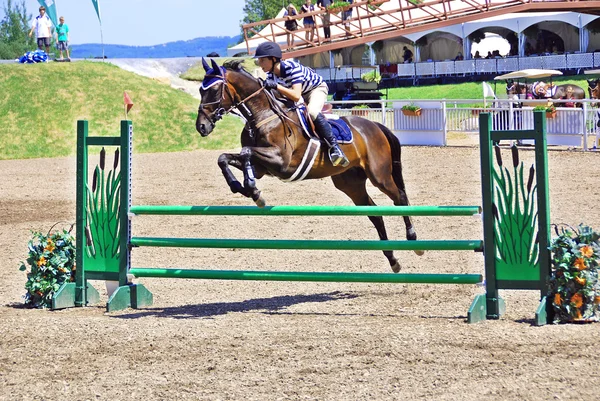 Bromont Canada July Unknown Rider Horse 2011 International Bromont July — Stock Photo, Image